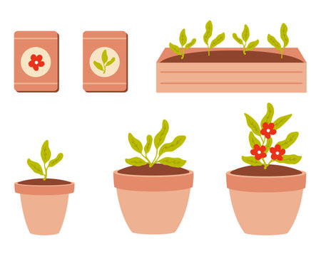 Hand drawn sowing and growth of flower seedlings clipart collection. Taking care of plants concept. Vector illustration isolated on white background.のイラスト素材