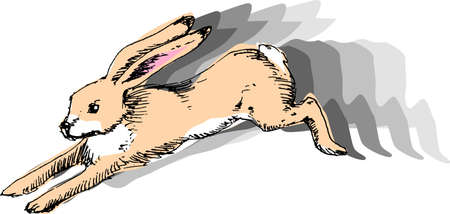 illustration, vector for a running rabbitのイラスト素材