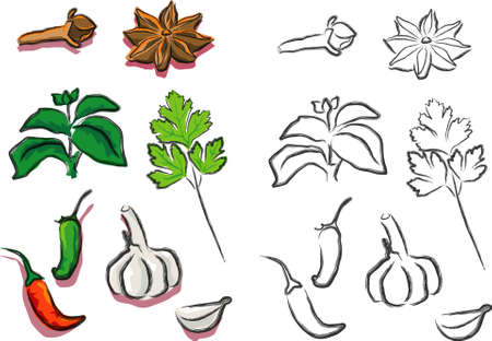 a vector illustration for a variety of seasoning for foodのイラスト素材