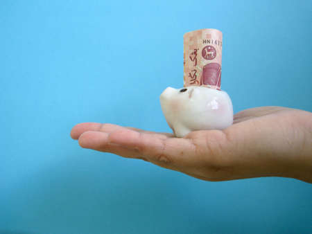 a piggy bank put on a hands, metaphors for banking, financeの写真素材