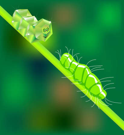 vector illustration for a polygon shape of caterpillarのイラスト素材