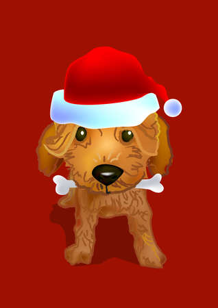 a brown poodle doggy wear a santa red hat and bite a bone in it's mouth.の写真素材