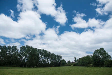 fieldの写真素材