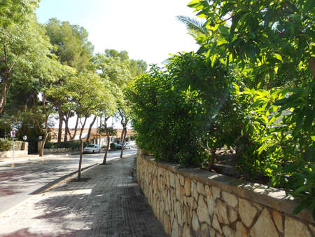 streets of Magalufの写真素材