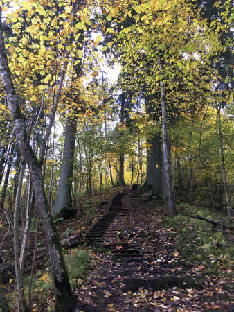 golden stairwayの写真素材