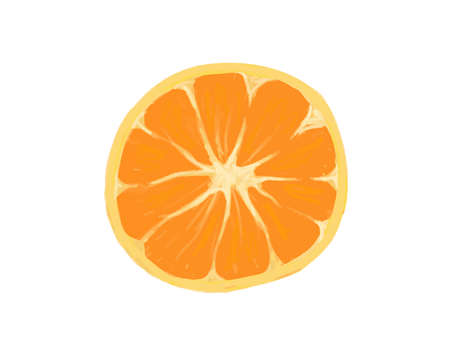 It is a cute illustration of a fresh orange.のイラスト素材