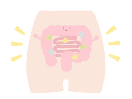 It is a cute illustration depicting the state of the intestinal environment.のイラスト素材