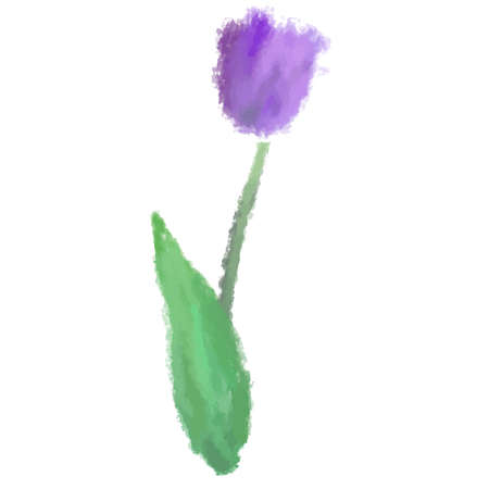 It is an illustration of a gorgeous tulip drawn in the watercolor style.のイラスト素材