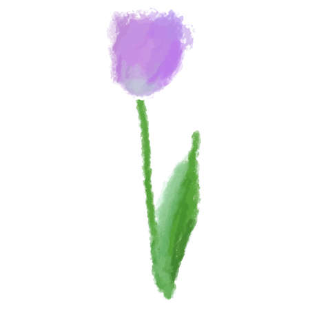 It is an illustration of a gorgeous tulip drawn in the watercolor style.のイラスト素材