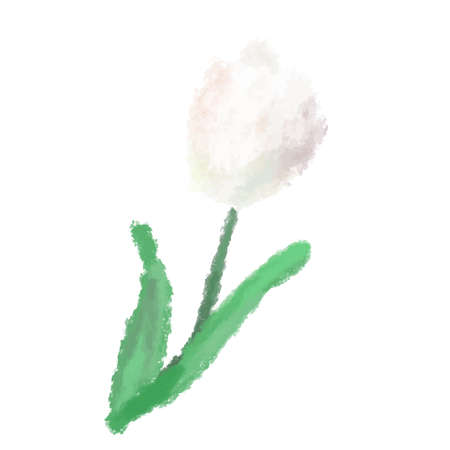 It is an illustration of a gorgeous tulip drawn in the watercolor style.のイラスト素材