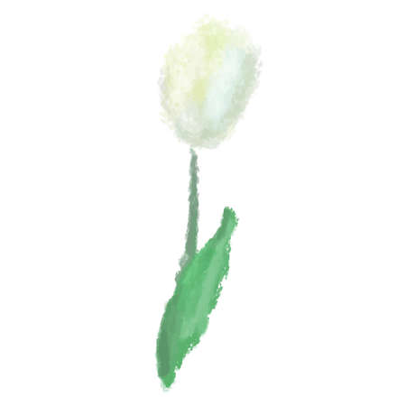 It is an illustration of a gorgeous tulip drawn in the watercolor style.のイラスト素材