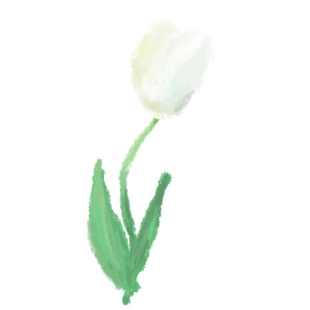 It is an illustration of a gorgeous tulip drawn in the watercolor style.のイラスト素材