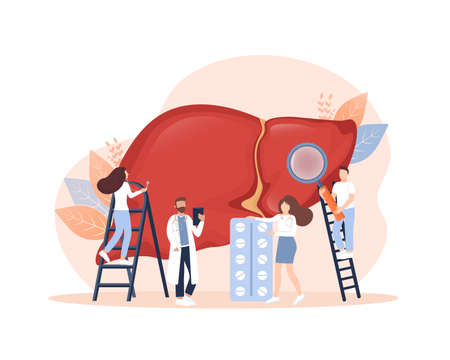 Flat illustration with liver on white background for medical design. Characters in cartoon style. Vector hepatic system organ, digestive gallbladder organ.のイラスト素材