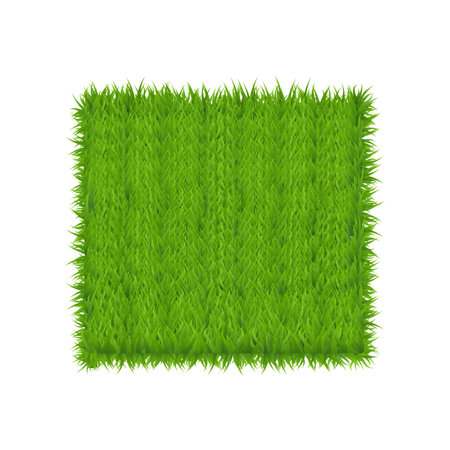 Rectangle green grass banner. Vector background. Green Grass Field Banner Football Place.のイラスト素材