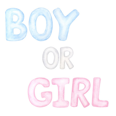 Words pink girl blue boy. Hand drawn watercolor illustration isolated on white background. For gender reveal party, baby shower, childrens textilesの写真素材