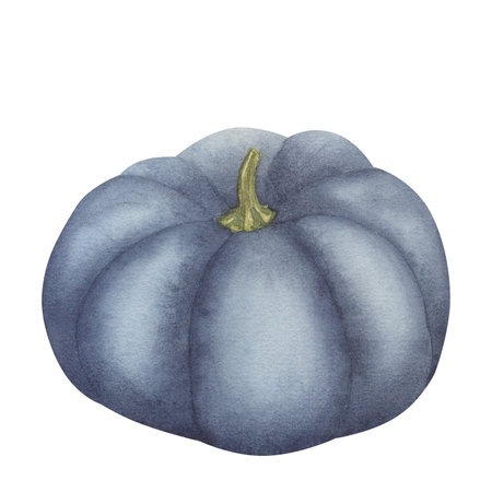 Blue pumpkin clipart. Thanksgiving Day or harvest festival. Hand drawn watercolor illustration isolated on white background. Design elementの写真素材