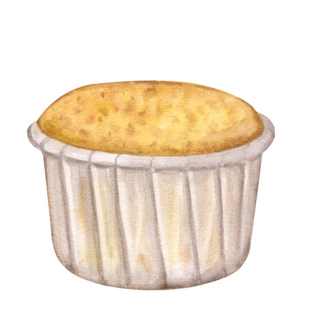 Unfrosted cupcakes. Muffins for breakfast. Homemade traditional vanilla or sour cream flavor. Hand drawn watercolor illustration isolated on white background. For cafe menu pastry shopの写真素材