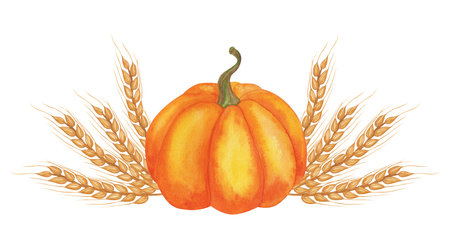 Orange pumpkin ears of wheat banner. Harvest elements, for the holiday of Thanksgiving, Kwanzaa. Autumn clip art. Hand drawn watercolor illustration isolated background. For menu cafe, natural foodの写真素材