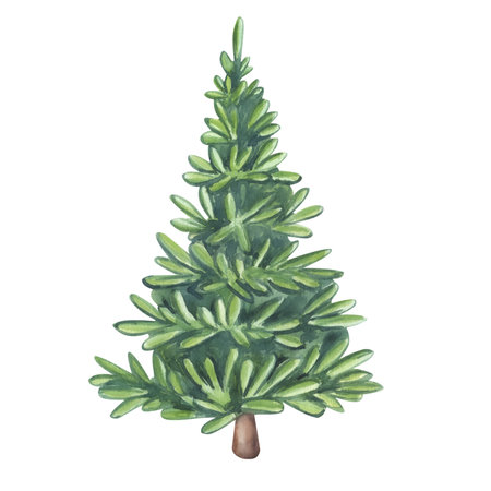 Christmas Tree evergreen pine, spruce, fir, larch, needles. Hand drawn watercolor illustration isolated on white background. For Xmas holiday, New Year, landscape forest postcard, invitationの写真素材