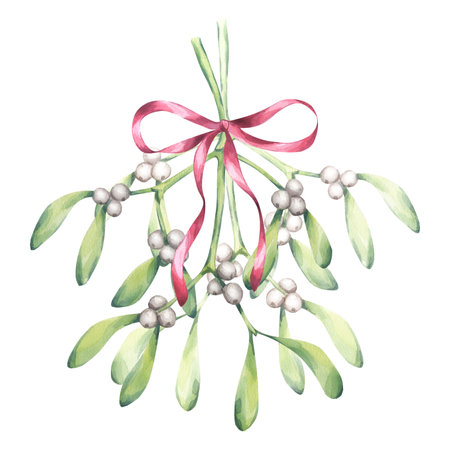 Mistletoe branch tied with red ribbon bow, white berries green leaves. Kissing place. Traditional plant for Christmas decoration. Happy New Year! Hand drawn watercolor illustration isolated backgroundの写真素材