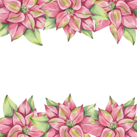 Poinsettia pink red frame, winter flower with leaves. Traditional plant for Christmas decoration. Happy New Year! Hand drawn watercolor illustration isolated white background. For printing postcardsの写真素材