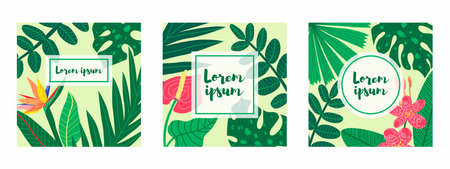 Three square botanical illustrations featuring various tropical leaves and flowers, each with a text placeholder. Suitable for social media posts, mobile apps, banner design.のイラスト素材