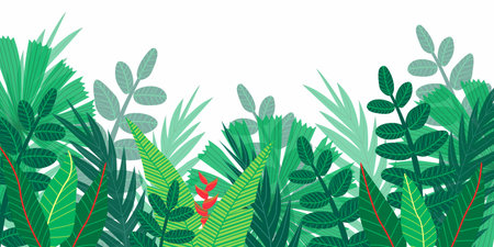 Illustration of a botanical banner featuring various tropical leaves on a white background. Perfect for social media posts, mobile apps, banner design, and web. Hand-drawnのイラスト素材