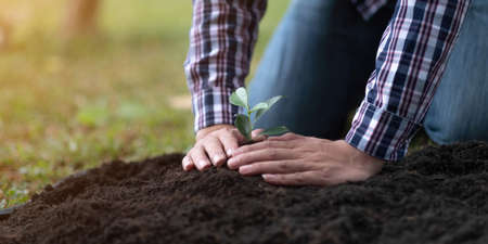 young man gardener, planting tree in garden, gardening and watering plants.