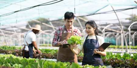 Young Asian farmers working in vegetables hydroponic farm with happiness. Portrait of man and woman farmer in farmの写真素材