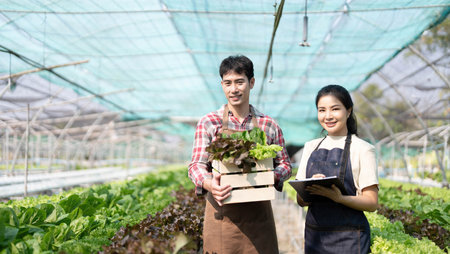 Asian couple farmers work in vegetables hydroponic farm with happiness. Attractive agriculturist...