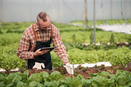 Farmer checking quality by tablet agriculture modern technology. Concept using modern technologies in agriculture.の写真素材