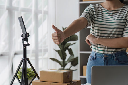 Starting Small business entrepreneur SME freelance, Portrait young woman working at home office,...