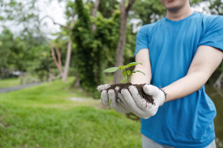 Volunteer Planting Trees in a Park to Promote Environmental Conservation and Community Involvementの写真素材
