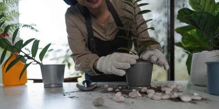 Woman Engaged in Indoor Gardening with Potted Plants and Gardening Tools in a Modern Home Setting