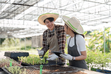 Modern Farmer Couple Cultivating Herbs and Cannabis in a Greenhouse Setting with Sustainable Practicesの写真素材