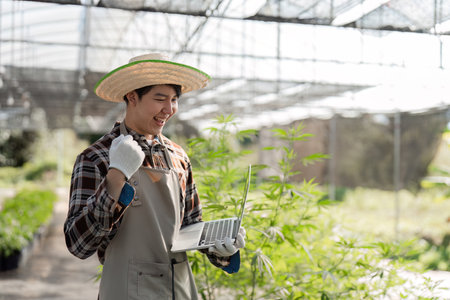 Young Gardener Tending to Cannabis Plants in a Lush Greenhouse Setting with Modern Tools and Techniquesの写真素材