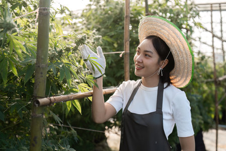 Young Woman Cultivating a Herbal Garden with Modern Technology and Sustainable Practices in a Greenhouse Environmentの写真素材