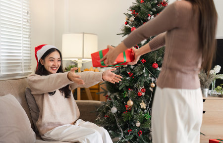 Joyful Lesbian Couple Celebrating Christmas Together with Gifts and Festive Decorations in Cozy Home Settingの写真素材