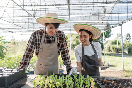Young gardeners smiling while cultivating seedlings in a sunny greenhouse, promoting teamwork and careの写真素材