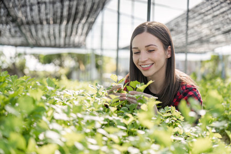 Female Farmer Cultivating Organic Vegetables in a Modern Greenhouse Setting for Sustainable...