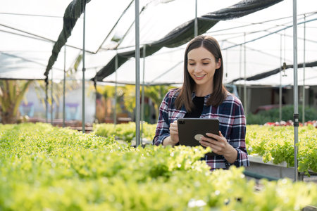 Female Farmer Cultivating Organic Vegetables in a Modern Greenhouse Setting with Sustainable Farming Practicesの写真素材
