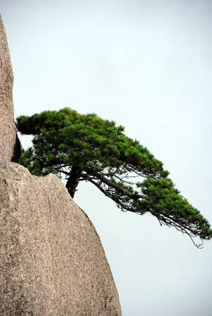 Huangshan China  の写真素材