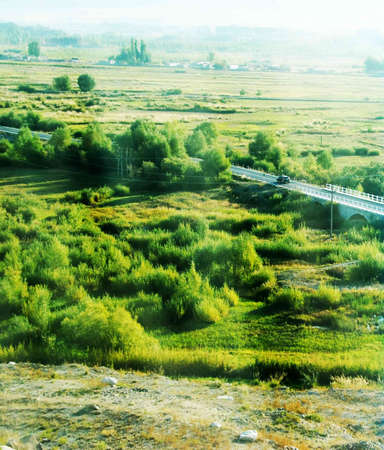 Road in the middle of green fieldの写真素材