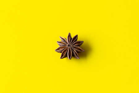 star anise on a yellow background.の写真素材