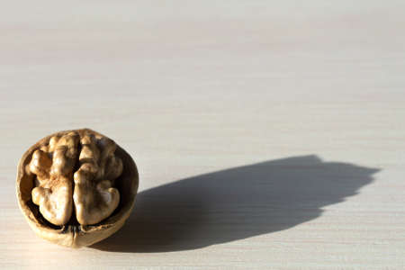 walnut in the shell is like a brain.の写真素材
