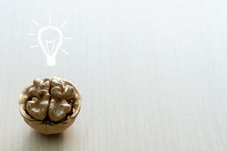 walnut in the shell is like a brain.