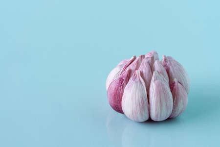 one head of garlic on blue background