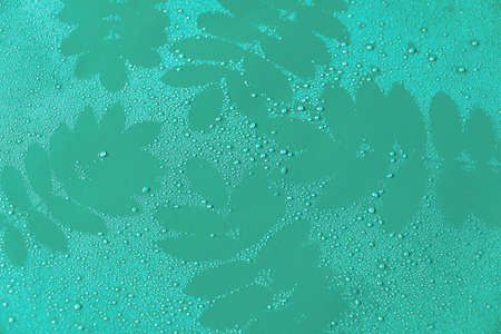 silhouettes of rowan leaves in drops of water on a turquoise backgroundの写真素材