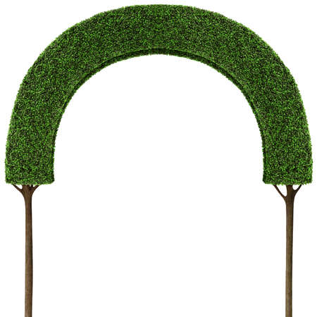 Isolated green tree fairy arch for an illustration or poster.の写真素材