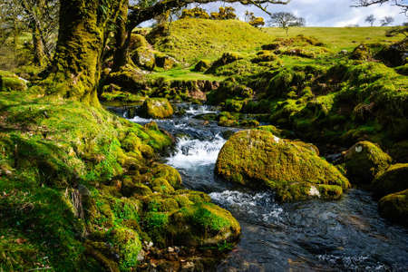 dartmoor national park england riverの写真素材